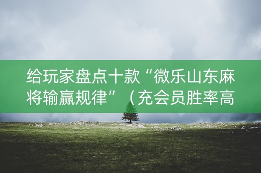 给玩家盘点十款“微乐山东麻将输赢规律”（充会员胜率高)