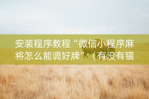 安装程序教程“微信小程序麻将怎么能调好牌”（有没有猫腻)