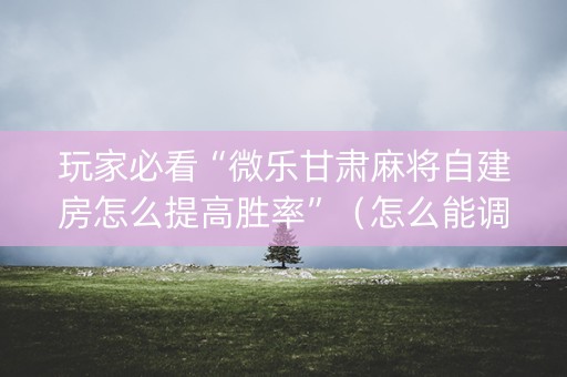 玩家必看“微乐甘肃麻将自建房怎么提高胜率”（怎么能调好牌)
