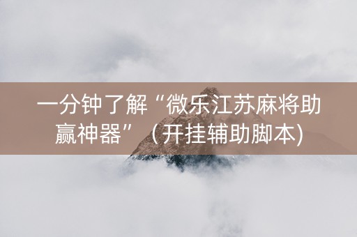 一分钟了解“微乐江苏麻将助赢神器”（开挂辅助脚本)