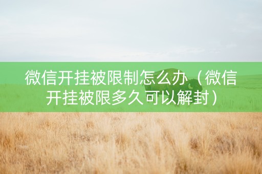 微信开挂被限制怎么办（微信开挂被限多久可以解封）