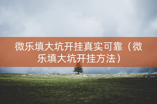 微乐填大坑开挂真实可靠（微乐填大坑开挂方法）