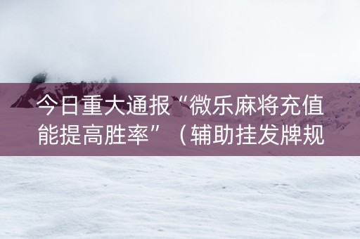 今日重大通报“微乐麻将充值能提高胜率”（辅助挂发牌规律)