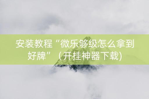 安装教程“微乐够级怎么拿到好牌”（开挂神器下载)
