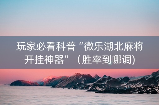 玩家必看科普“微乐湖北麻将开挂神器”（胜率到哪调)