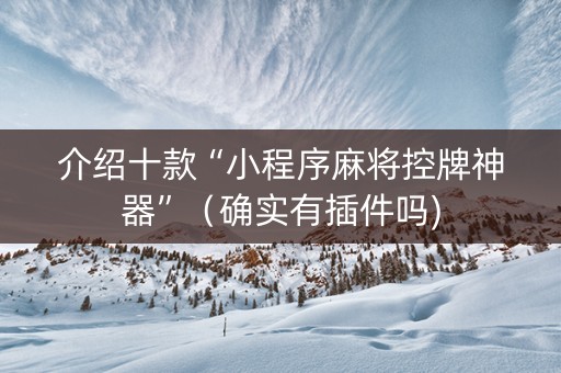 介绍十款“小程序麻将控牌神器”（确实有插件吗)