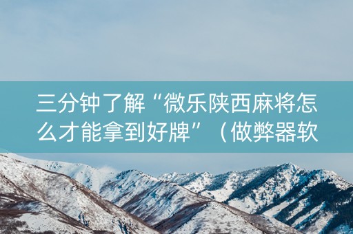 三分钟了解“微乐陕西麻将怎么才能拿到好牌”（做弊器软件下载)