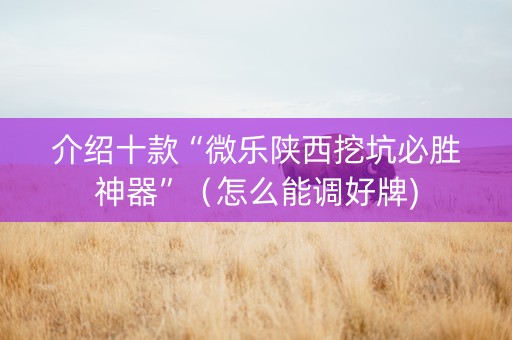介绍十款“微乐陕西挖坑必胜神器”（怎么能调好牌)