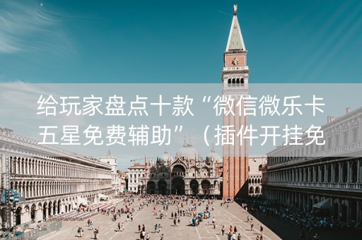 给玩家盘点十款“微信微乐卡五星免费辅助”（插件开挂免费AI)