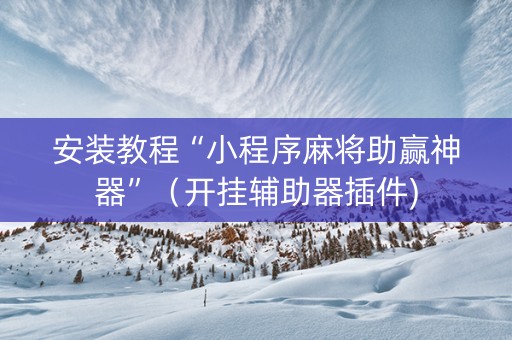 安装教程“小程序麻将助赢神器”（开挂辅助器插件)
