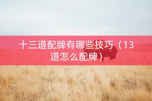 十三道配牌有哪些技巧（13道怎么配牌）