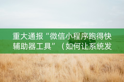 重大通报“微信小程序跑得快辅助器工具”（如何让系统发好牌)