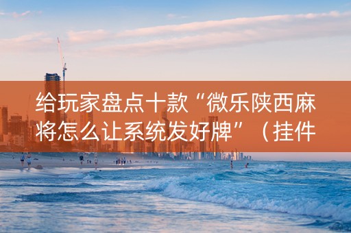 给玩家盘点十款“微乐陕西麻将怎么让系统发好牌”（挂件神器)