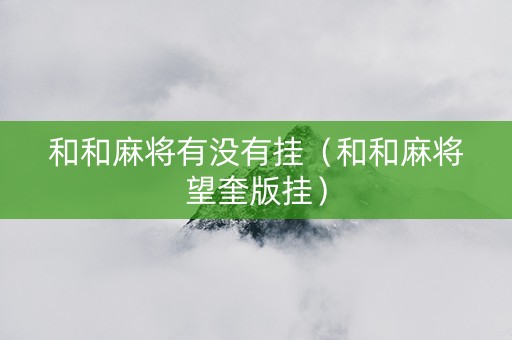 和和麻将有没有挂（和和麻将望奎版挂）