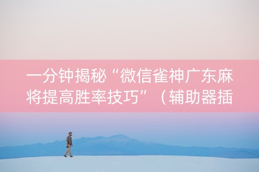 一分钟揭秘“微信雀神广东麻将提高胜率技巧”（辅助器插件)