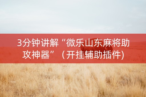 3分钟讲解“微乐山东麻将助攻神器”（开挂辅助插件)