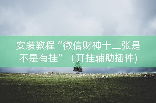 安装教程“微信财神十三张是不是有挂”（开挂辅助插件)