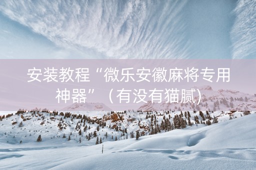 安装教程“微乐安徽麻将专用神器”（有没有猫腻)