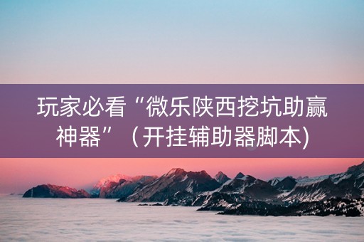 玩家必看“微乐陕西挖坑助赢神器”（开挂辅助器脚本)