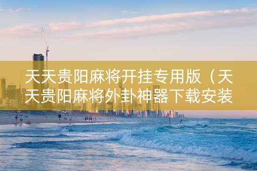 天天贵阳麻将开挂专用版（天天贵阳麻将外卦神器下载安装）