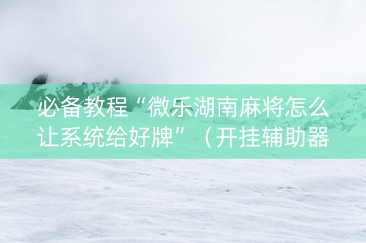 必备教程“微乐湖南麻将怎么让系统给好牌”（开挂辅助器插件)