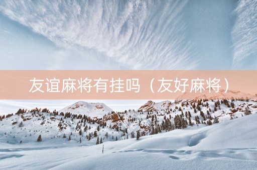 友谊麻将有挂吗（友好麻将）