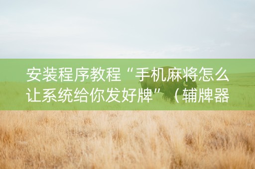 安装程序教程“手机麻将怎么让系统给你发好牌”（辅牌器插件购买)