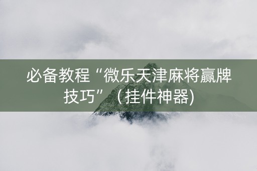必备教程“微乐天津麻将赢牌技巧”（挂件神器)