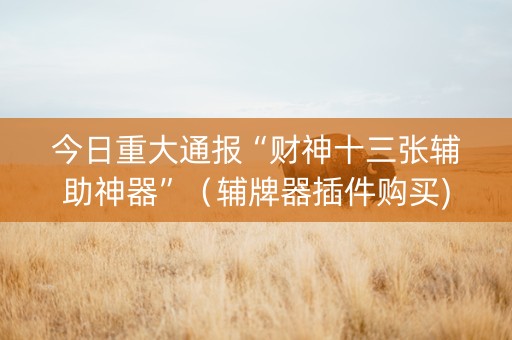 今日重大通报“财神十三张辅助神器”（辅牌器插件购买)