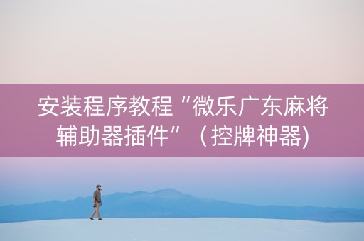 安装程序教程“微乐广东麻将辅助器插件”（控牌神器)
