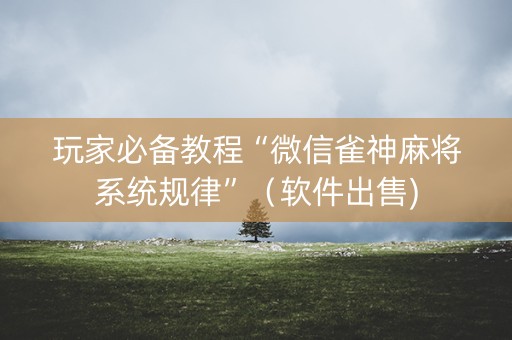 玩家必备教程“微信雀神麻将系统规律”（软件出售)