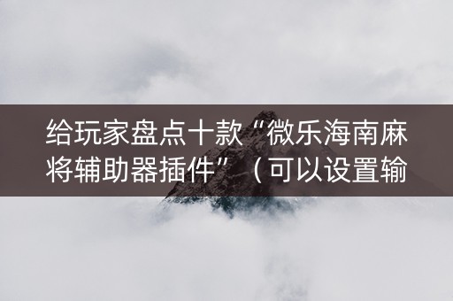 给玩家盘点十款“微乐海南麻将辅助器插件”（可以设置输赢吗)