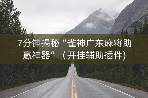 7分钟揭秘“雀神广东麻将助赢神器”（开挂辅助插件)