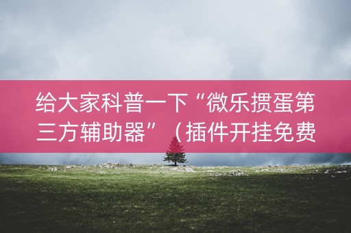 给大家科普一下“微乐掼蛋第三方辅助器”（插件开挂免费AI)