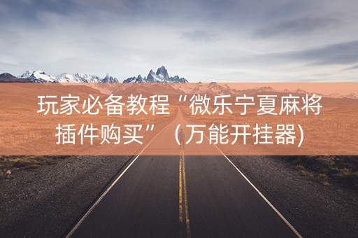 玩家必备教程“微乐宁夏麻将插件购买”（万能开挂器)