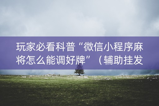 玩家必看科普“微信小程序麻将怎么能调好牌”（辅助挂发牌规律)