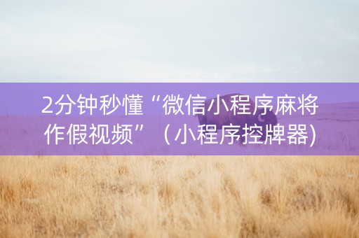 2分钟秒懂“微信小程序麻将作假视频”（小程序控牌器)