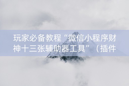 玩家必备教程“微信小程序财神十三张辅助器工具”（插件可信吗)