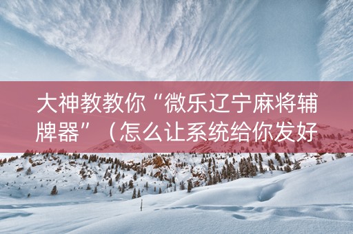 大神教教你“微乐辽宁麻将辅牌器”（怎么让系统给你发好牌)