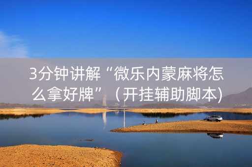 3分钟讲解“微乐内蒙麻将怎么拿好牌”（开挂辅助脚本)