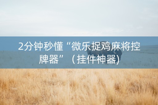 2分钟秒懂“微乐捉鸡麻将控牌器”（挂件神器)