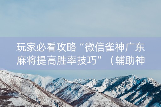玩家必看攻略“微信雀神广东麻将提高胜率技巧”（辅助神器免费)