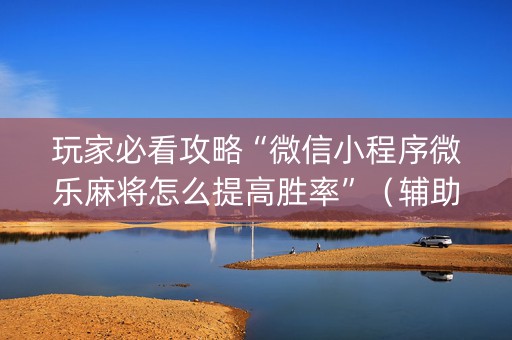 玩家必看攻略“微信小程序微乐麻将怎么提高胜率”（辅助器通用版)
