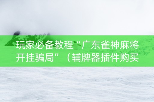 玩家必备教程“广东雀神麻将开挂骗局”（辅牌器插件购买)