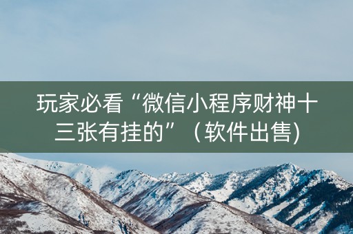 玩家必看“微信小程序财神十三张有挂的”（软件出售)