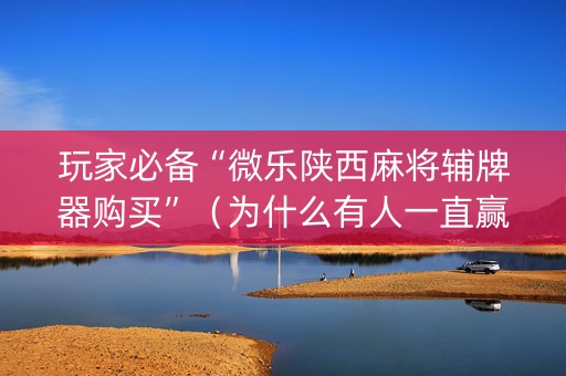 玩家必备“微乐陕西麻将辅牌器购买”（为什么有人一直赢)
