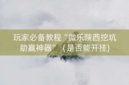 玩家必备教程“微乐陕西挖坑助赢神器”（是否能开挂)