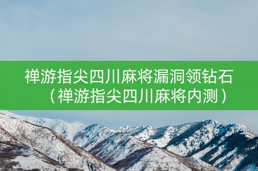 禅游指尖四川麻将漏洞领钻石（禅游指尖四川麻将内测）