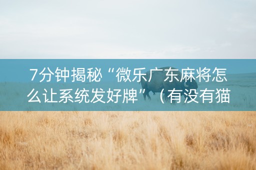 7分钟揭秘“微乐广东麻将怎么让系统发好牌”（有没有猫腻)
