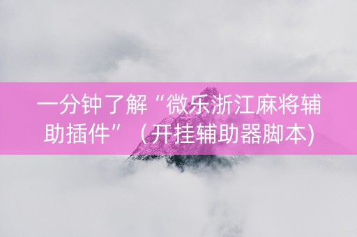 一分钟了解“微乐浙江麻将辅助插件”（开挂辅助器脚本)